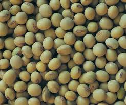 http://www.agricultureinformation.com/mag/?p=4091